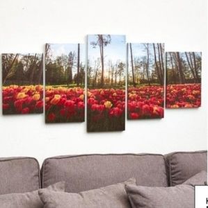 New Set of 5 Canvas